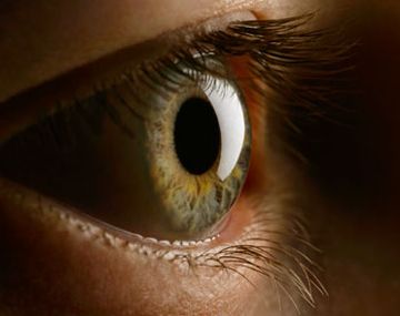 Encuentran una nueva parte del cuerpo humano