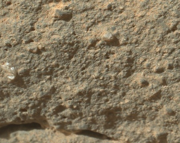 Curiosity le tomó una fotografía a una flor marciana