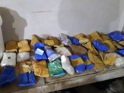 Halloween blanco: cayó una banda que operaba en la Ciudad y el conurbano bonaerense Crédito: Emmanuel Dalbe