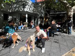 Llega el DogDay festival
