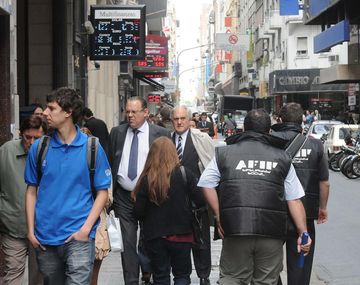 La Justicia desplaza a la AFIP del control a los arbolitos