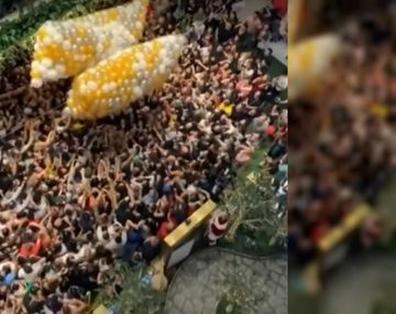 Avalancha humana en un shopping durante una promo por la Navidad