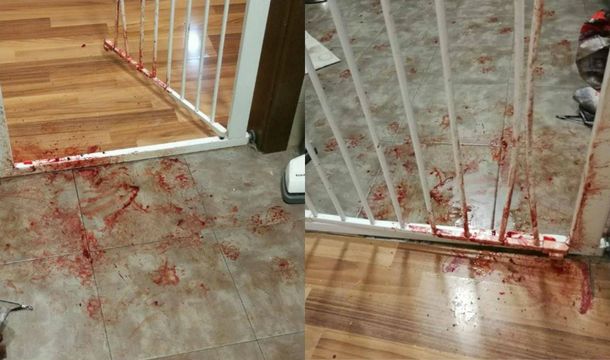 Fernández regresó a su casa para encontrarse una escena desagradable