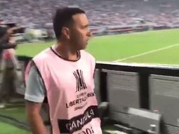 Este es el alcanzapelotas agresor