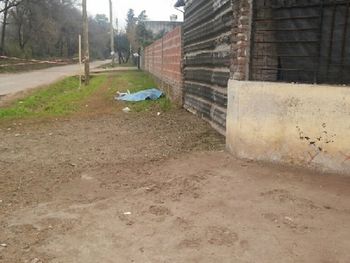 Gentileza: diario Semanario Actualidad