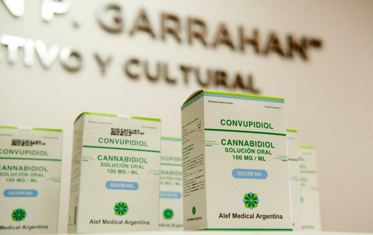 El Ministerio de Salud entregó cannabis medicinal a pacientes del Garrahan con epilepsia