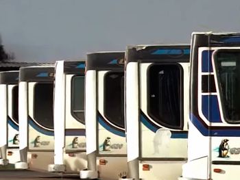 Paro de colectivos en ocho líneas por detención de choferes