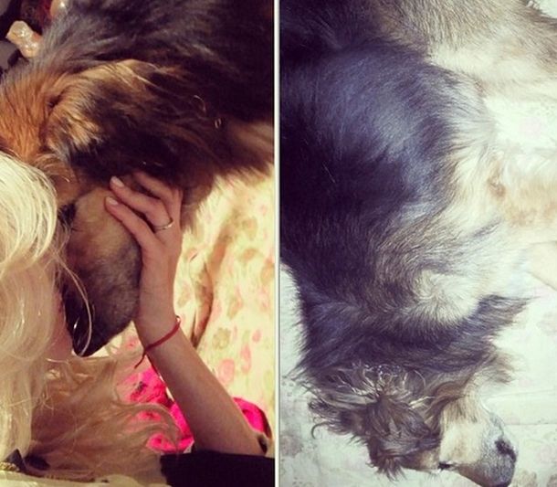 El dolor de Nicole Neumann por la muerte de su perro Yaco