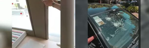 El loco de la perra atacó y destruyó un auto con un palo de golf