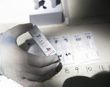 Reportan 11.163 casos y 251 nuevas muertes por Covid-19