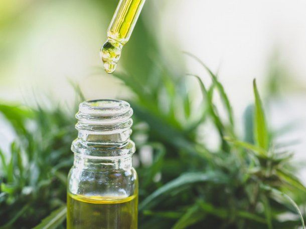 El Gobierno flexibiliza el acceso al Reprocann: quiénes podrán volver a inscribirse