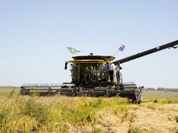 La intención de siembra de arroz es superior a la cantidad de agua disponible, según advirtió el MGAP. La intención de siembra de arroz es superior a la cantidad de agua disponible, según advirtió el MGAP.