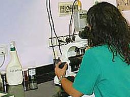 Laboratorios Laboratorios