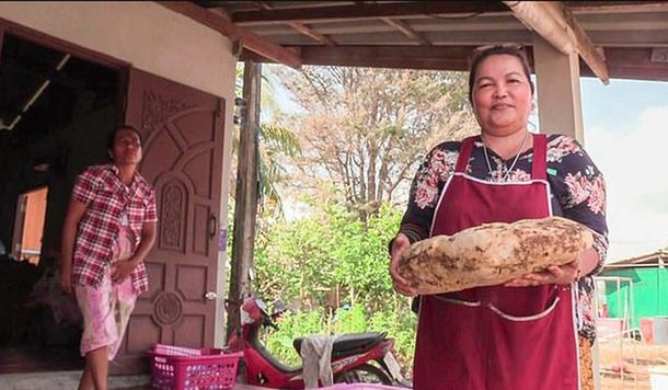 Tailandia: podría cobrar US$ 260 mil por vómito de ballena