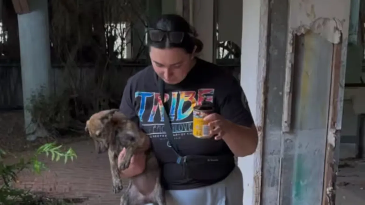 Fueron a rescatar a unos cachorros y se encontraron con una situación tan tierna como inesperada
