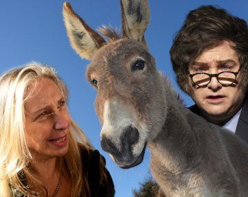 Javier y Karina Milei: un gobierno de burros.