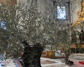 Domingo de Ramos en una Basílica de San Pedro semivacía por el coronavirus