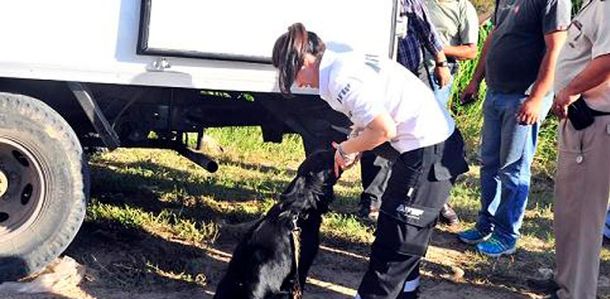 Murga, el can antinarcóticos de los 6 millones de pesos