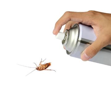 La Anmat prohíbió la venta y el uso de un insecticida