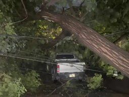 desastre en mendoza por un fuerte temporal de viento y granizo desastre en mendoza por un fuerte temporal de viento y granizo