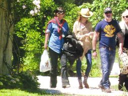 ¿para que contacto susana gimenez a su ex? ¿para que contacto susana gimenez a su ex?