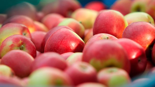 ¿Cuántas tortas o panqueques se pueden hacer con las manzanas que regalaron en Plaza de Mayo?