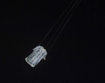 El emotivo video de Argentinos para Maradona: Este cebollita levantó la Copa del Mundo