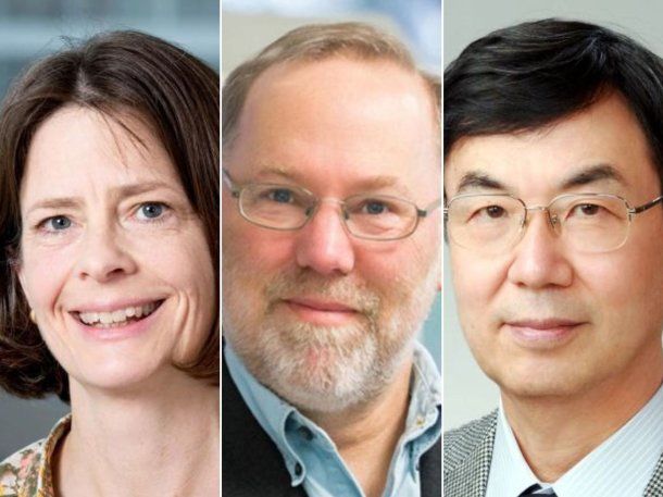 Otorgan el Premio Nobel de Medicina 2025 a tres investigadores de la ciencia del sistema inmune