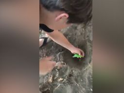 El dueño de Chimuelo tiene una nueva mascota: la cotorrita Menta