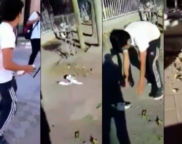 Un grupo de estudiantes maltratan a una paloma y son grabados