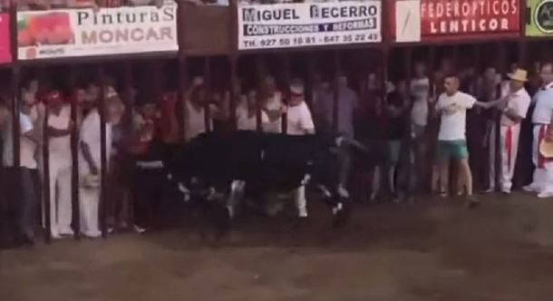 Un toro mató a un espectador en un encierro