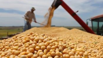 es obligatorio el registro de compraventa de granos es obligatorio el registro de compraventa de granos