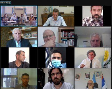 De Pedro está reunido con diferentes bloques para analizar la postergación de las PASO