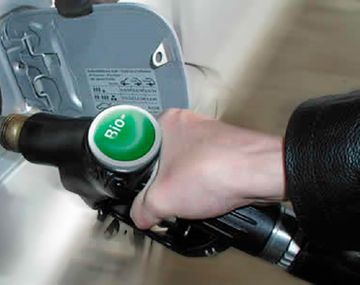 El Gobierno prorroga el corte del biodiesel al 12