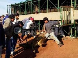 Gentileza Diario Panorama Gentileza Diario Panorama