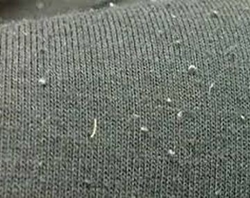 El truco casero para terminar con las pelotitas en la ropa