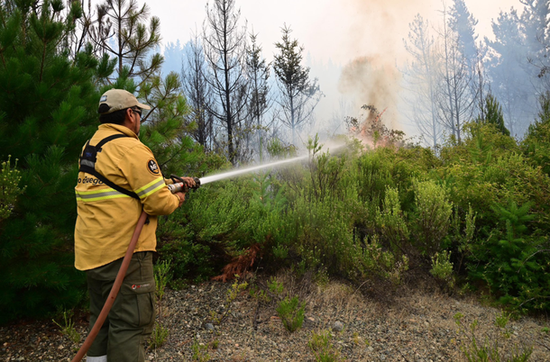Incendios en la Patagonia: cómo quedó el Parque Nacional Los Alerces