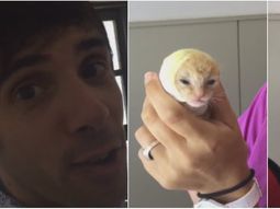 video: asi se recupera la gatita que rescato robertito funes video: asi se recupera la gatita que rescato robertito funes
