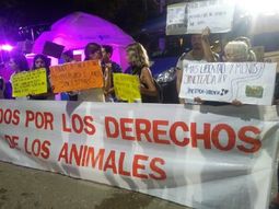 La organización Sin Estibos encabezó la protesta