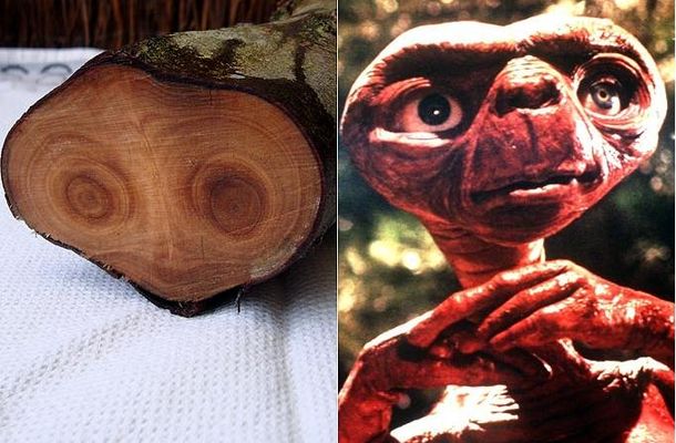 E.T.