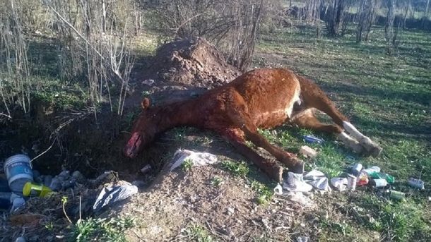 Foto: diario La Mañana de Neuquén.