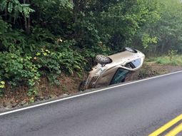 vio una arana adentro del auto y sufrio un terrible vuelco en medio de la ruta vio una arana adentro del auto y sufrio un terrible vuelco en medio de la ruta
