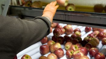 brasil reabrio el comercio de frutas con el pais y se alivia el conflicto brasil reabrio el comercio de frutas con el pais y se alivia el conflicto