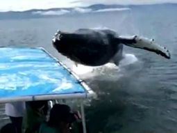 Los visitantes se ligaron un espectáculos tan bello como aterrador