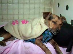 Así la ciudan y esperan que se recupere pronto