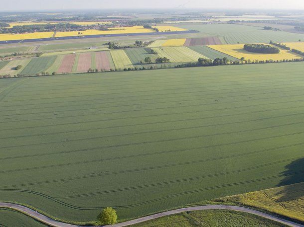 Suspendieron el artículo que derogaba la Ley Tierras para venta de campos a extranjeros