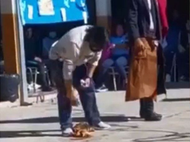 Salta: alumnos descuartizaron una gallina en un juego