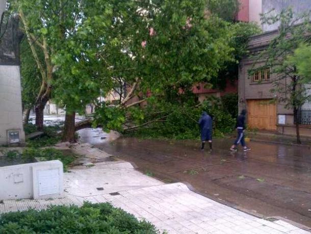 Un Violento Temporal De Lluvia Viento Y Granizo Golpeó A Río Cuarto 6592