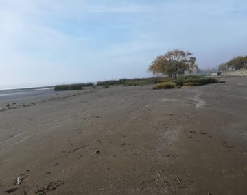 Los restos encontrados en Punta Lara son de una nena de 5 o 6 años