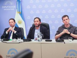 Diputados: Ferraro (centro) quedó al frente de la Comisión para investigar el caso Libra